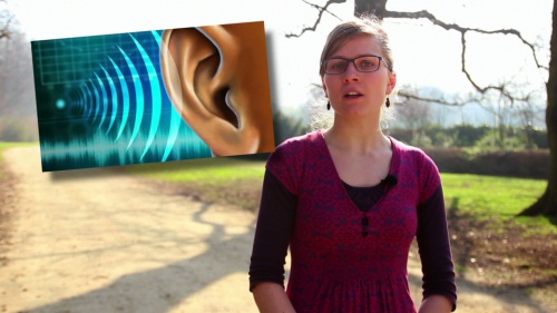 Video Wat is geluid? - Biologie 2de graad